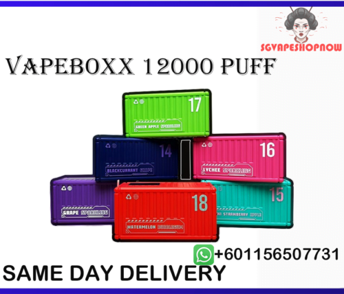 VAPEBOXX 12000 PUFF VAPEBOXX 12000 DISPOSABLE POD